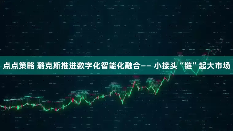 点点策略 璐克斯推进数字化智能化融合—— 小接头“链”起大市场