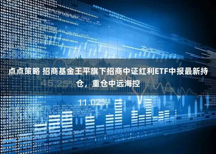 点点策略 招商基金王平旗下招商中证红利ETF中报最新持仓，重仓中远海控
