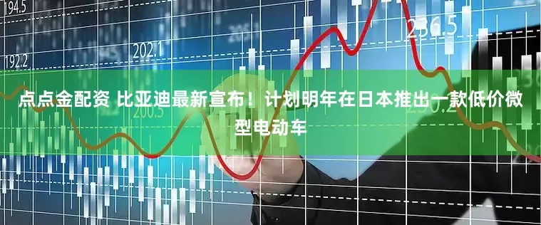点点金配资 比亚迪最新宣布！计划明年在日本推出一款低价微型电动车